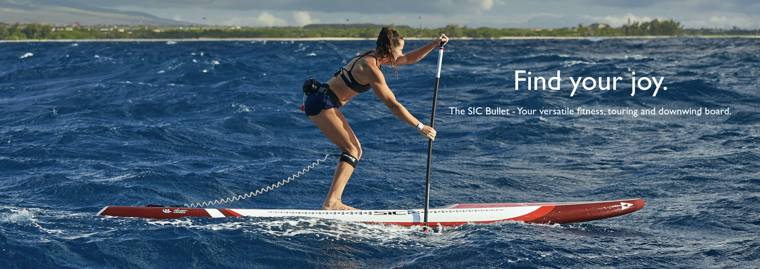 Find your joy-bullet a